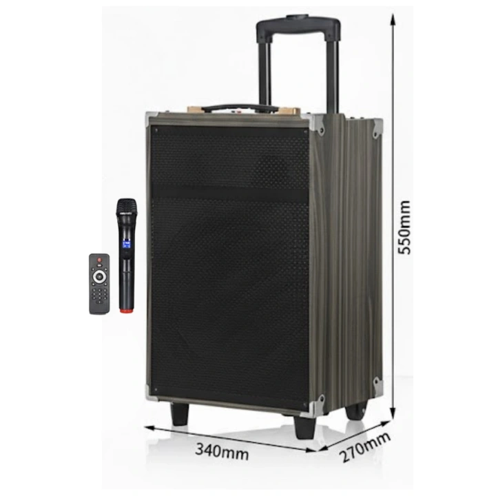 Hepu Hp-904 Partybox Bluetooth Hoparlör 12 Woofer 40W Güç 1 Kablosuz Mikrofon Kumanda