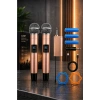 Jrl Wn-11 Profesyonel Çiftli Kablosuz El Mikrofonu Seti - UHF Bandı Şarj Edilebilir Alıcılı - Rose Gold