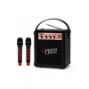 NSS NS-992MIC Boombox Pro Kablosuz Karaoke Hoparlör FM Radyo 2 Adet Mikrofon