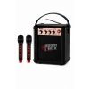 NSS NS-992MIC Boombox Pro Kablosuz Karaoke Hoparlör FM Radyo 2 Adet Mikrofon