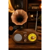 NNS NS-803BT Kahverengi Retro Radyo Bluetooth Hoparlör USB TF Kart Şarjlı Nostaljik Radyo