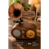 NNS NS-803BT Kahverengi Retro Radyo Bluetooth Hoparlör USB TF Kart Şarjlı Nostaljik Radyo