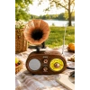 NNS NS-803BT Kahverengi Retro Radyo Bluetooth Hoparlör USB TF Kart Şarjlı Nostaljik Radyo