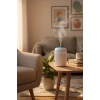 Beyaz H2O USB Renkli Mini Hava Nemlendirici | LED Işıklı | 350ml Taşınabilir Oda ve Ofis Difüzörü