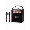 NSS NS-992MIC Boombox Pro Kablosuz Karaoke Hoparlör FM Radyo 2 Adet Mikrofon