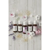 Uçucu Yağ Hava Nemlendirici Kokusu 20 ML 5 Li Set Lavanta / Japon Kirazı / Pudra / Magic Word /Zarif Orchıde