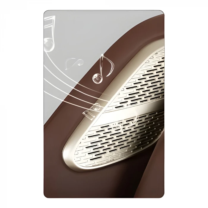 Gelonya Lux FIT-X A166 Masaj Koltuğu