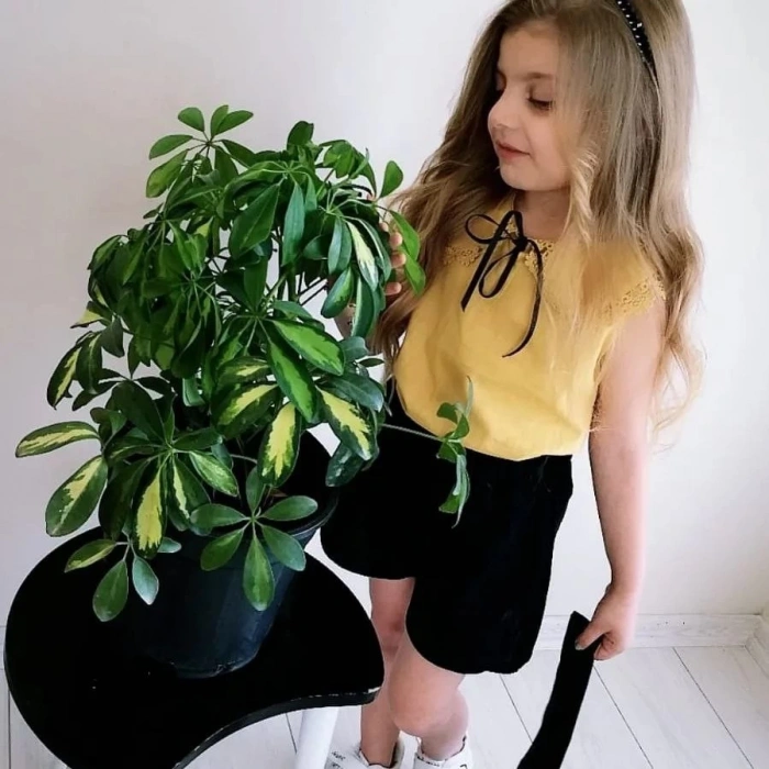 Kız Çocuk Keten Gömlek Şort Takım