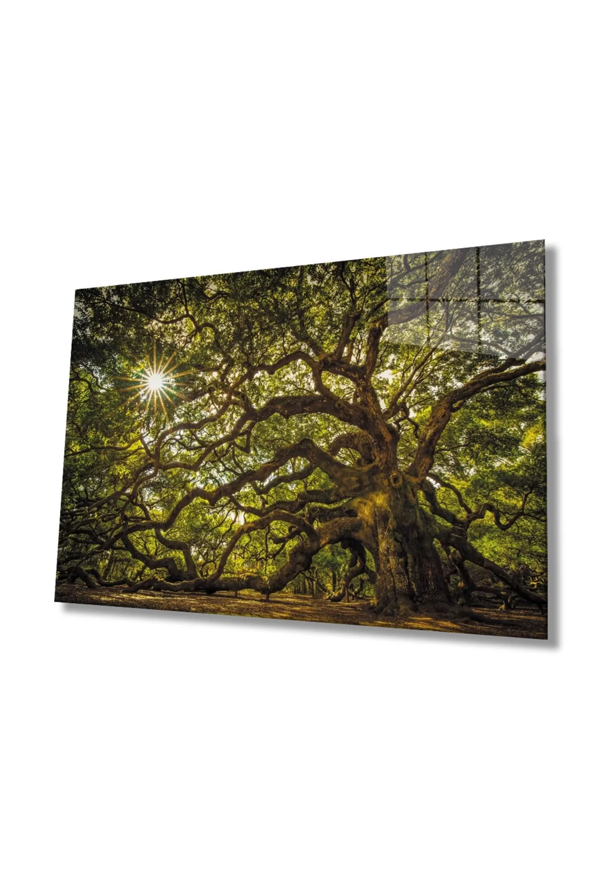 Tree Forest Sun Green Glass Painting, Home And Office Wall Decoration