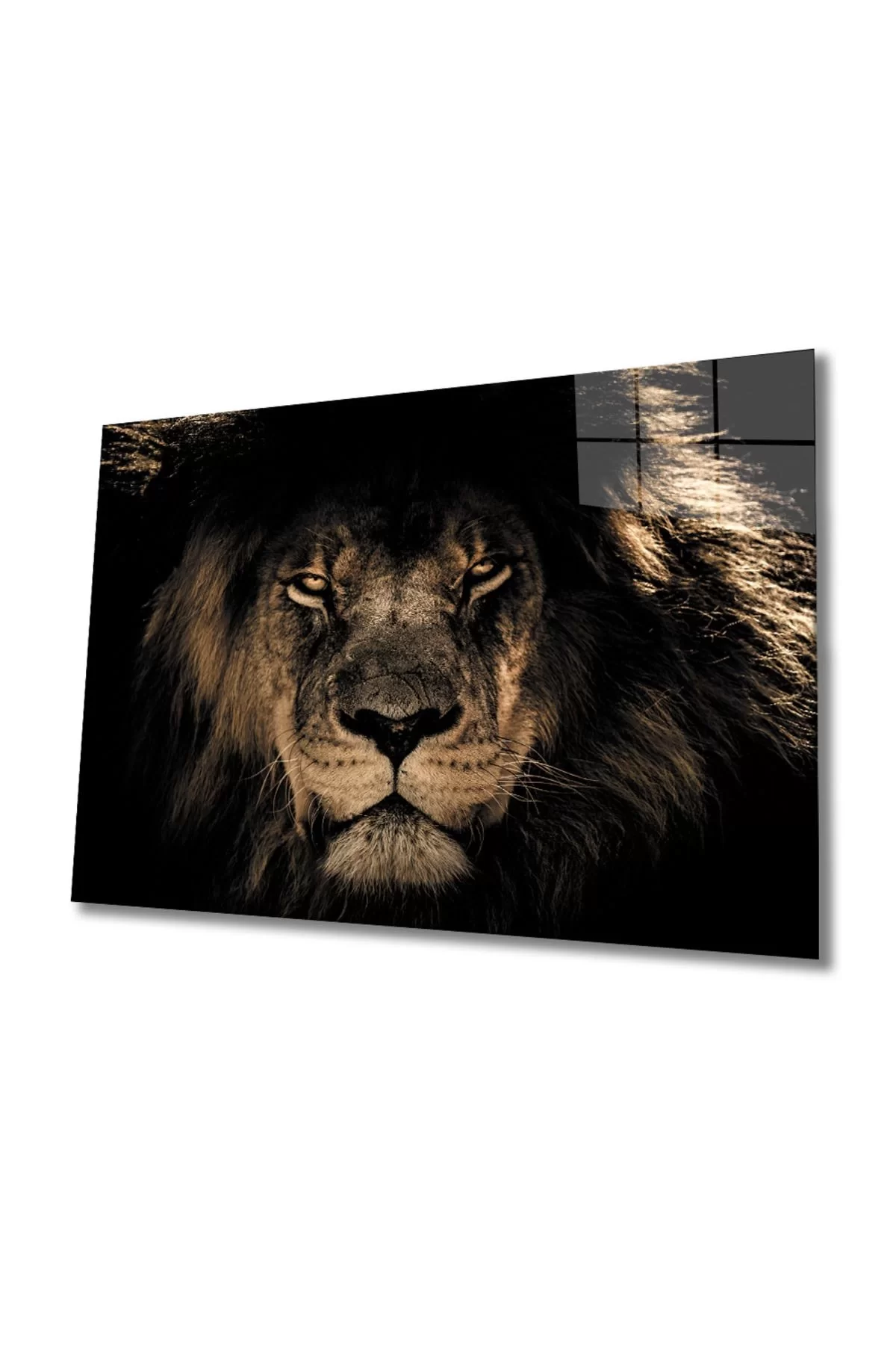 Lion 14 Glass Painting