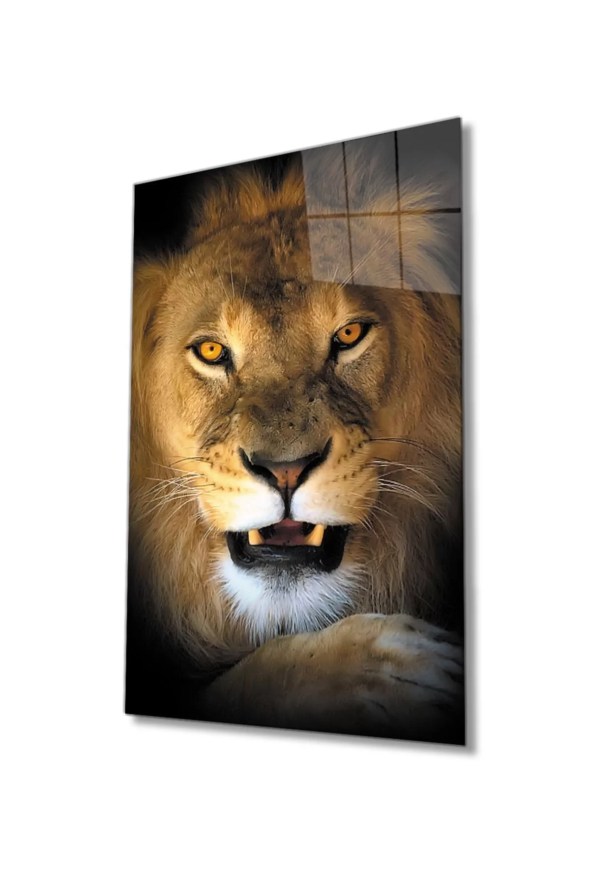 Lion 15 Animal Glass Painting