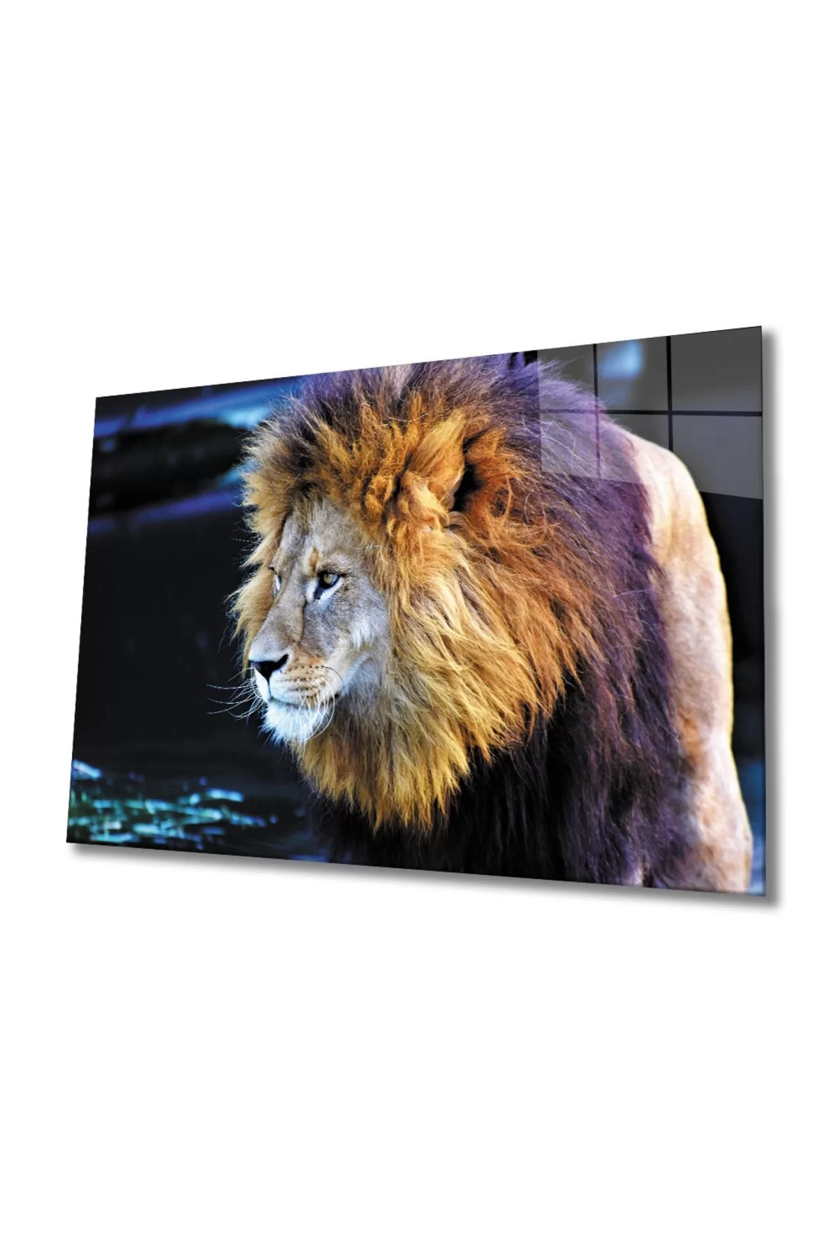 Lion 2 Glass Painting