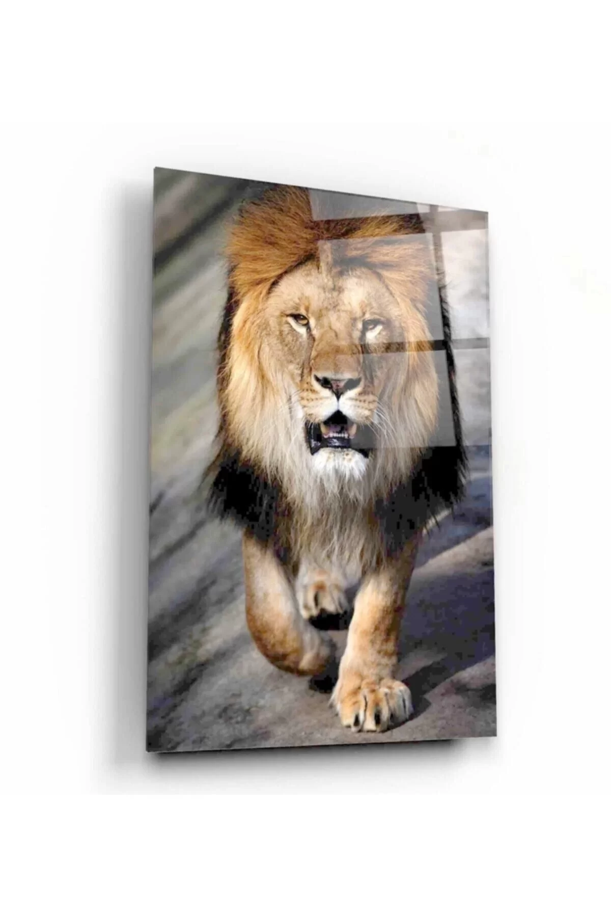 Lion Glass Painting