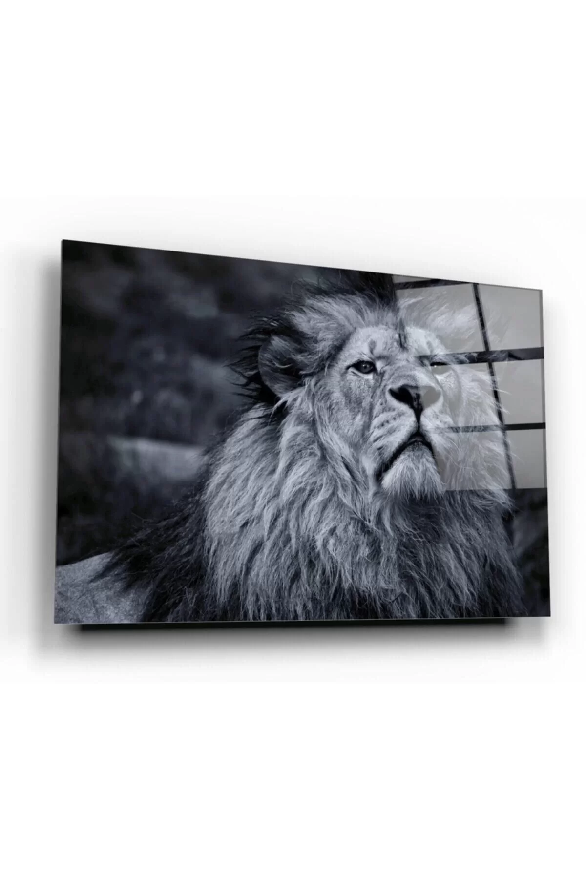 Lion Glass Painting