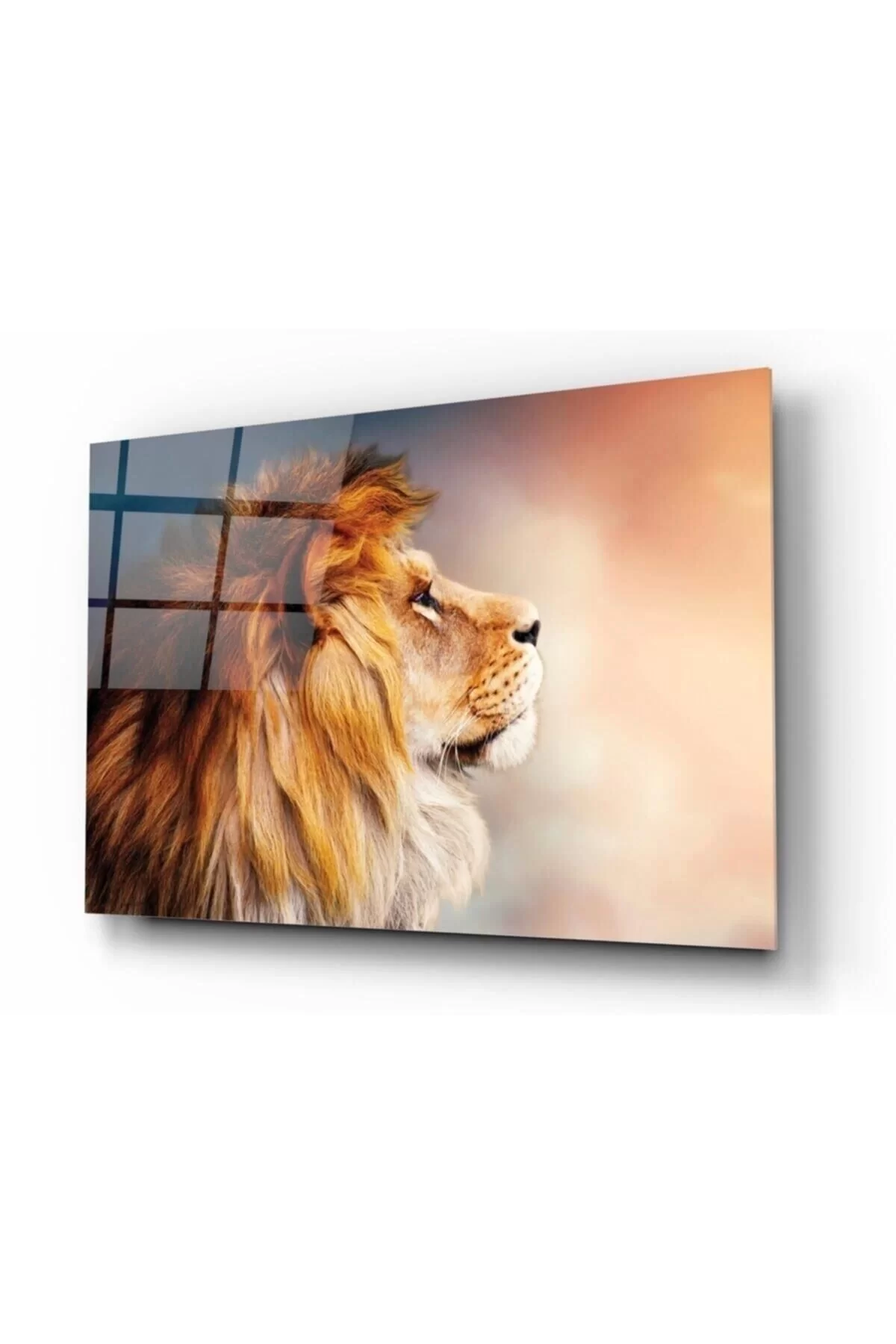 Lion Glass Painting