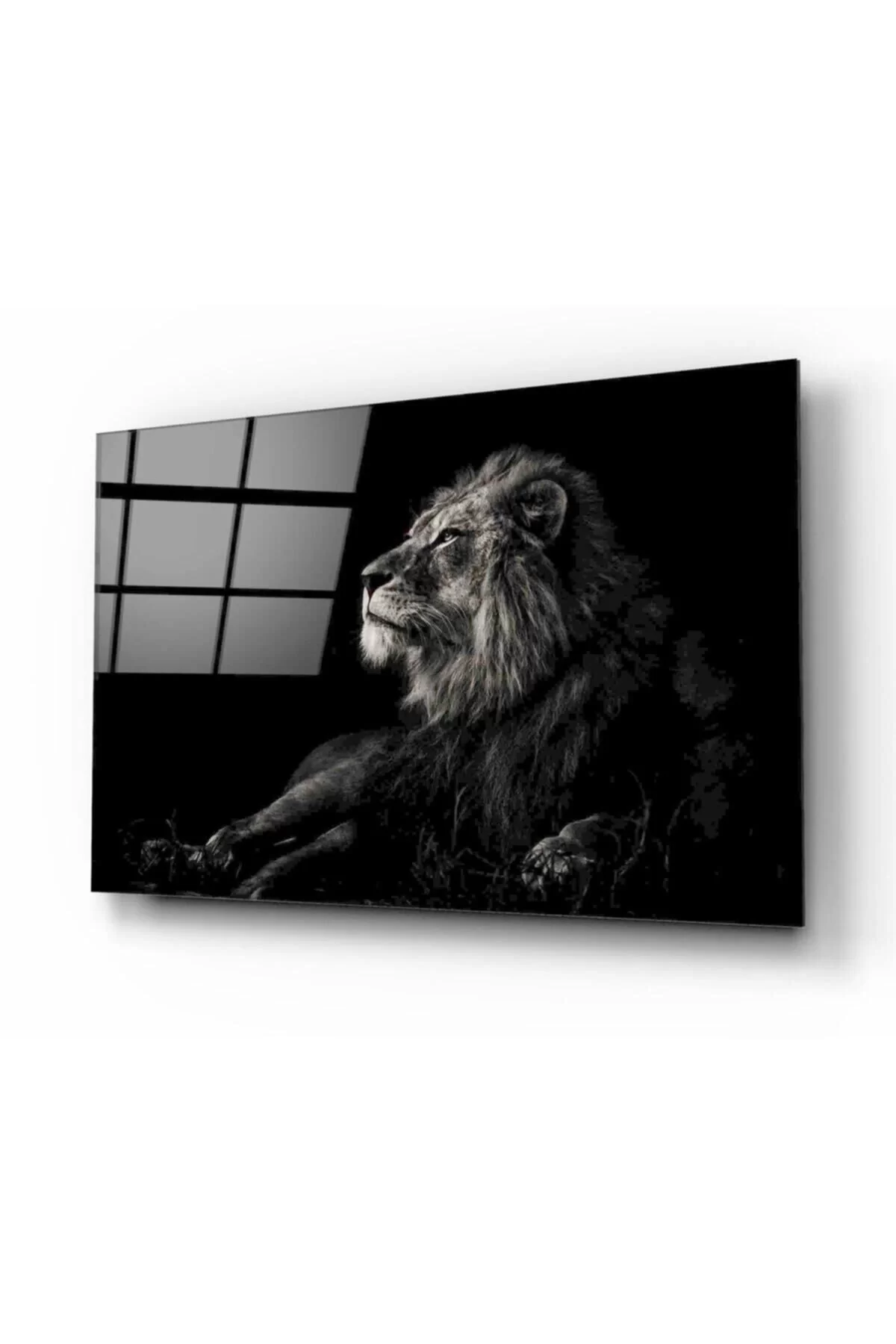 Lion Glass Painting