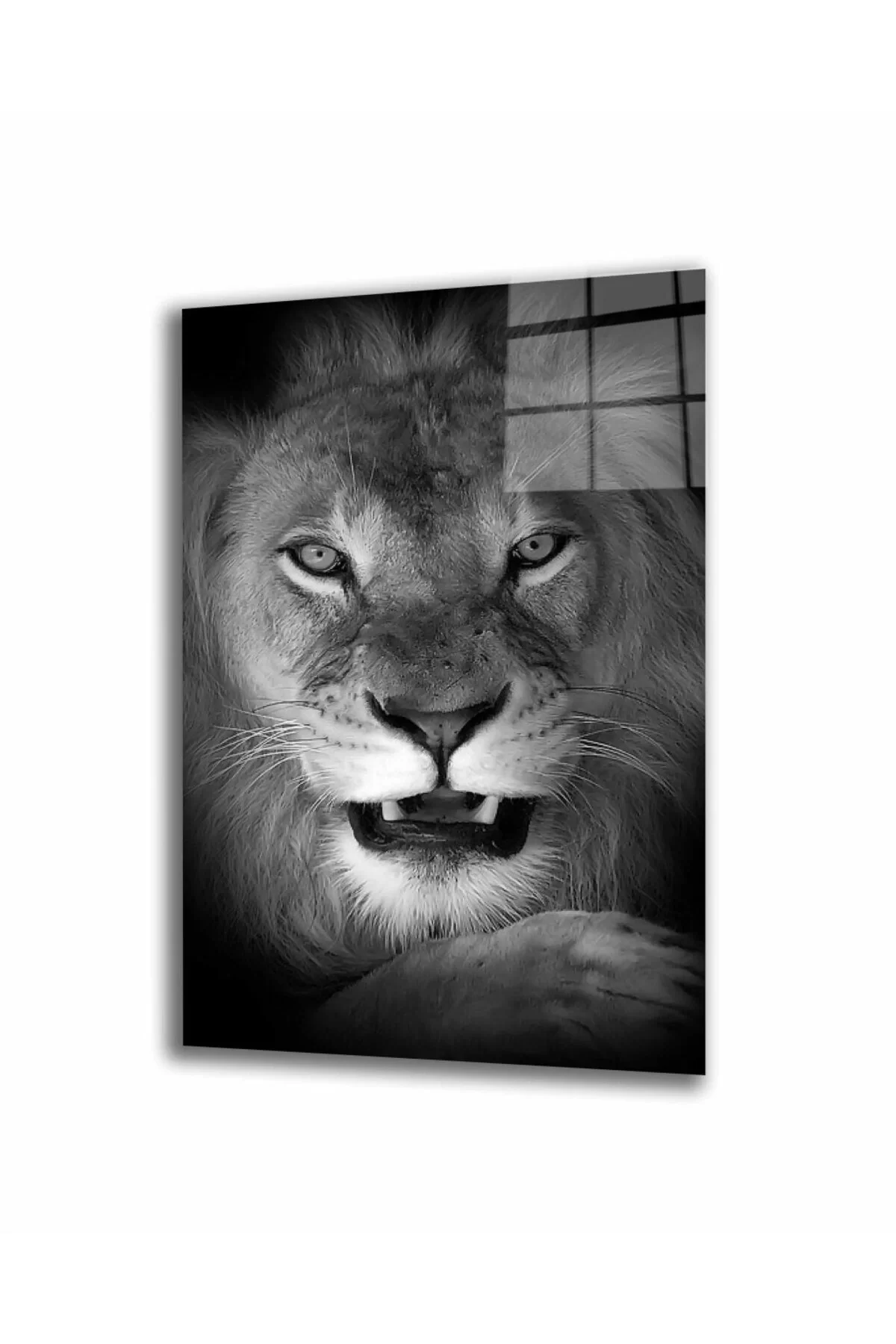 Lion Animal Glass Painting