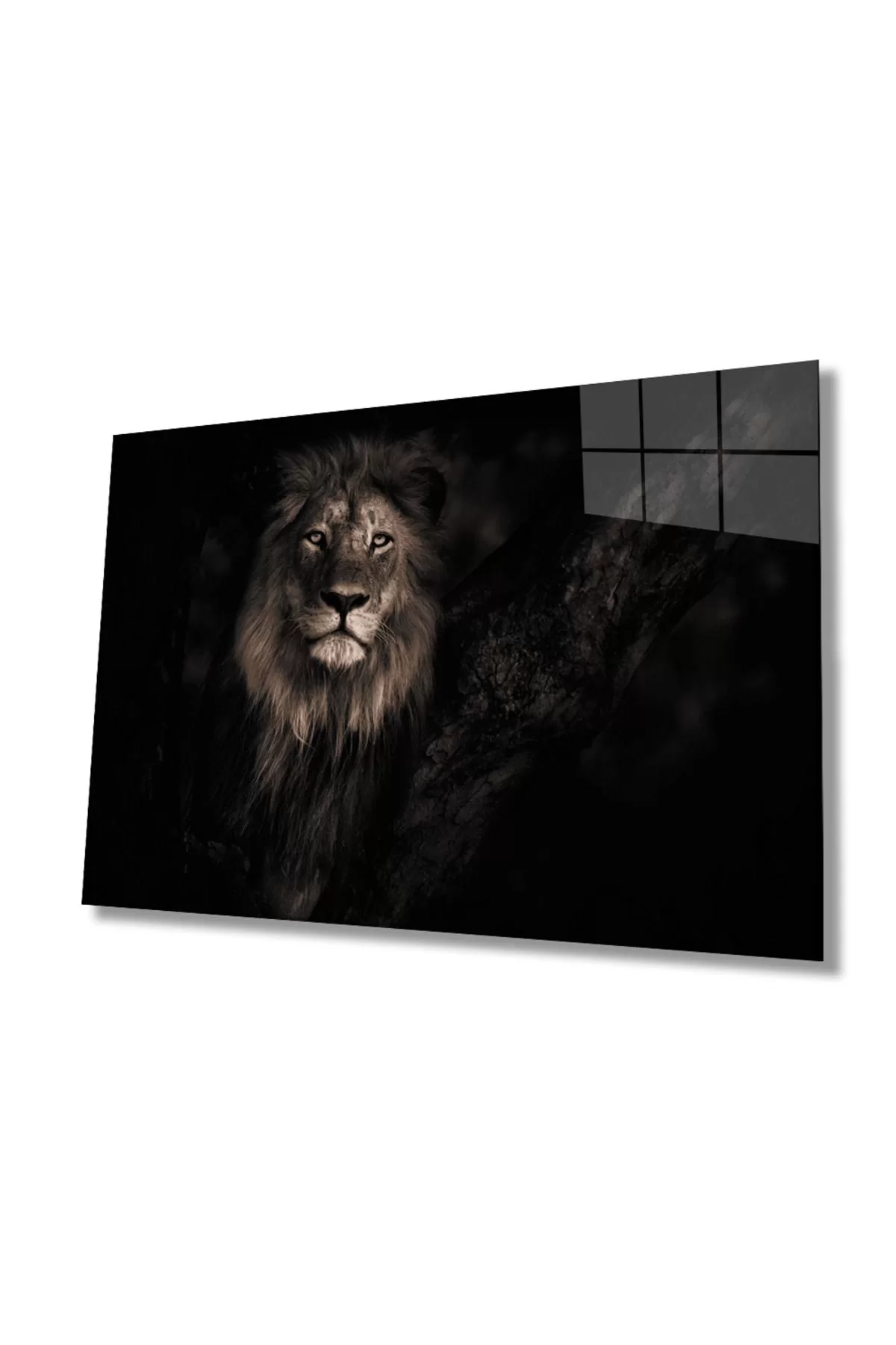 Lion Animal Glass Painting 4mm Durable Tempered Glass