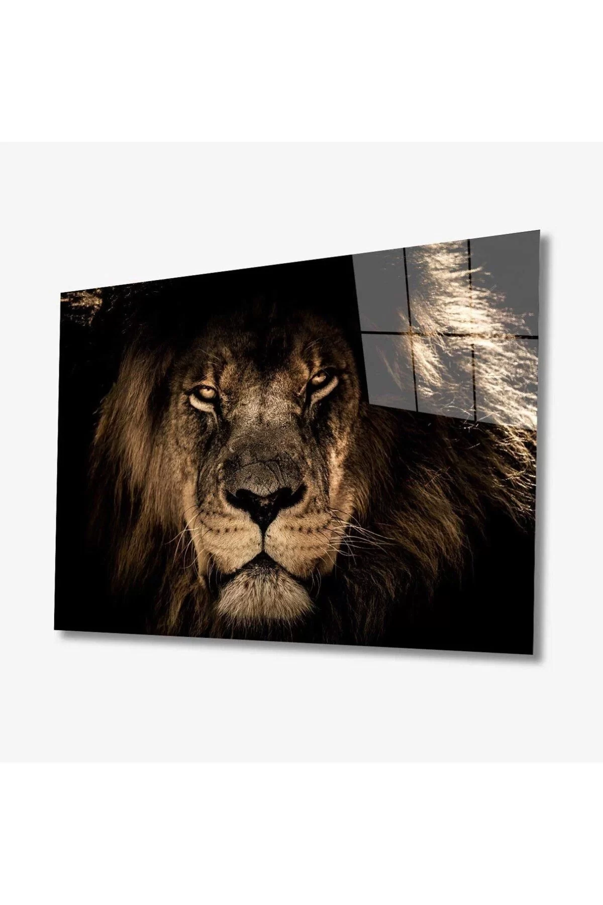 Lion Animal Glass Painting 4mm Durable Tempered Glass