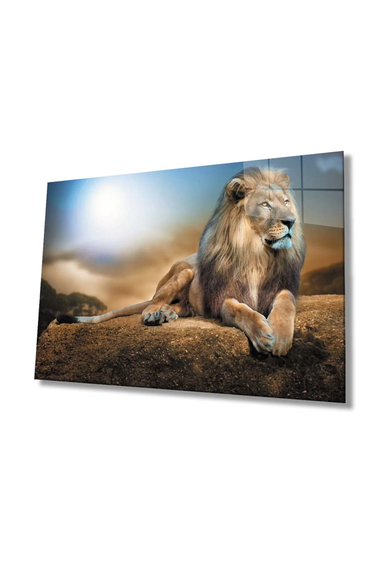 Lion Animal Glass Painting 4mm Durable Tempered Glass