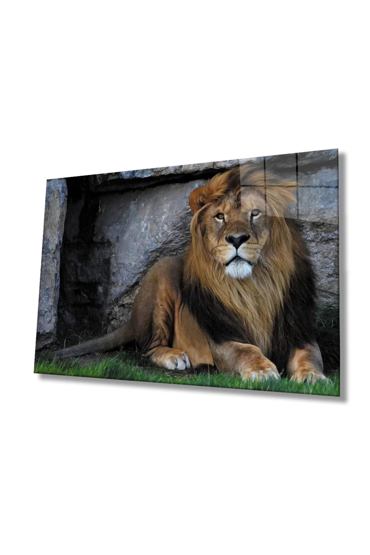 Lion Animal Glass Painting 4mm Durable Tempered Glass