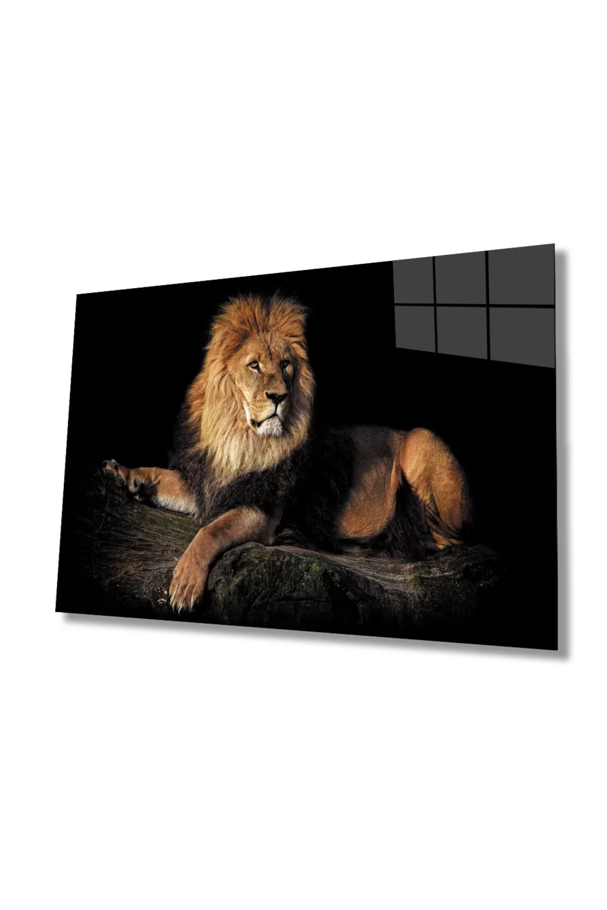 Lion Animal Glass Painting 4mm Durable Tempered Glass