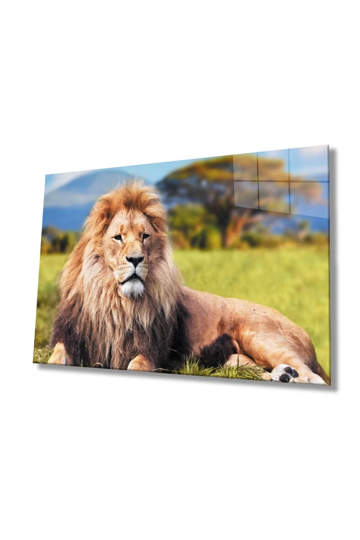 Lion Animal Glass Painting 4mm Durable Tempered Glass