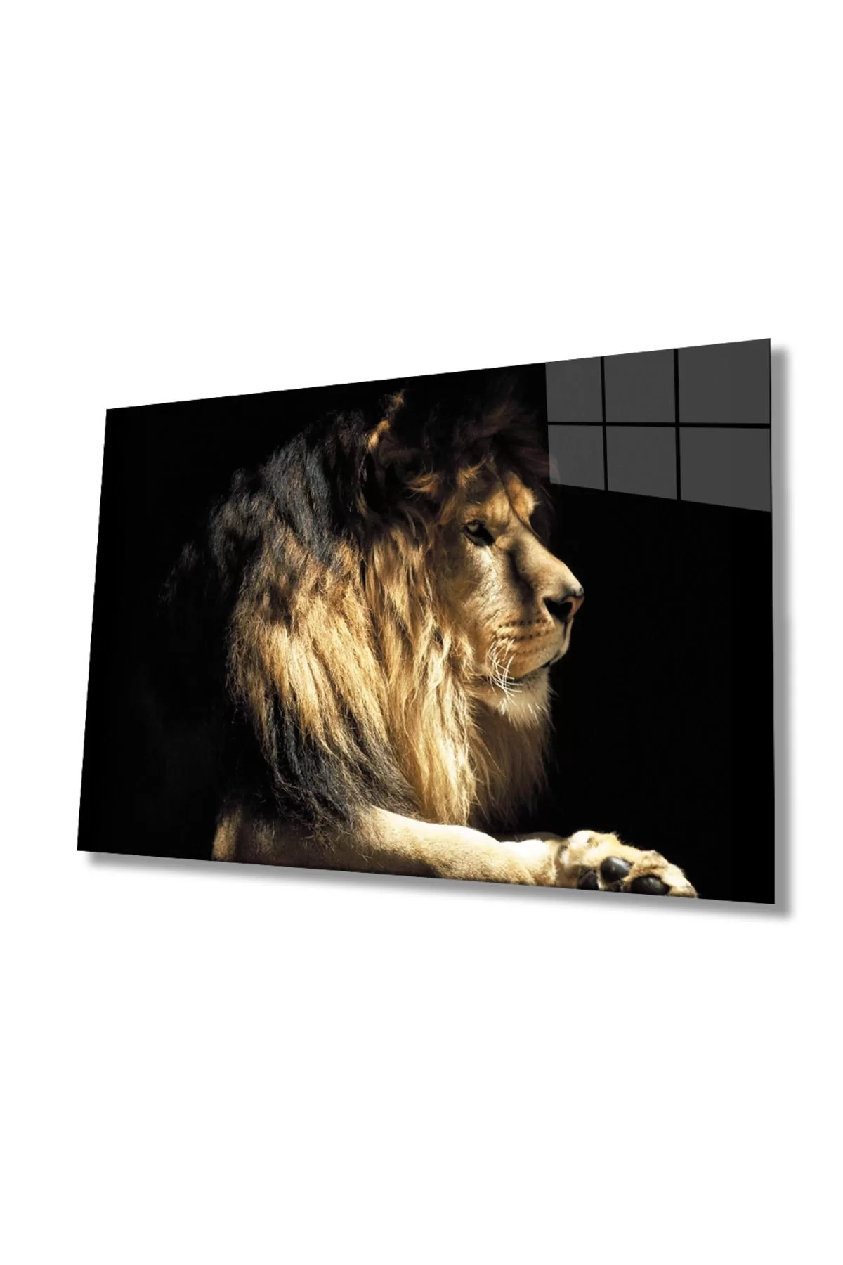 Lion Animal Glass Painting 4mm Durable Tempered Glass