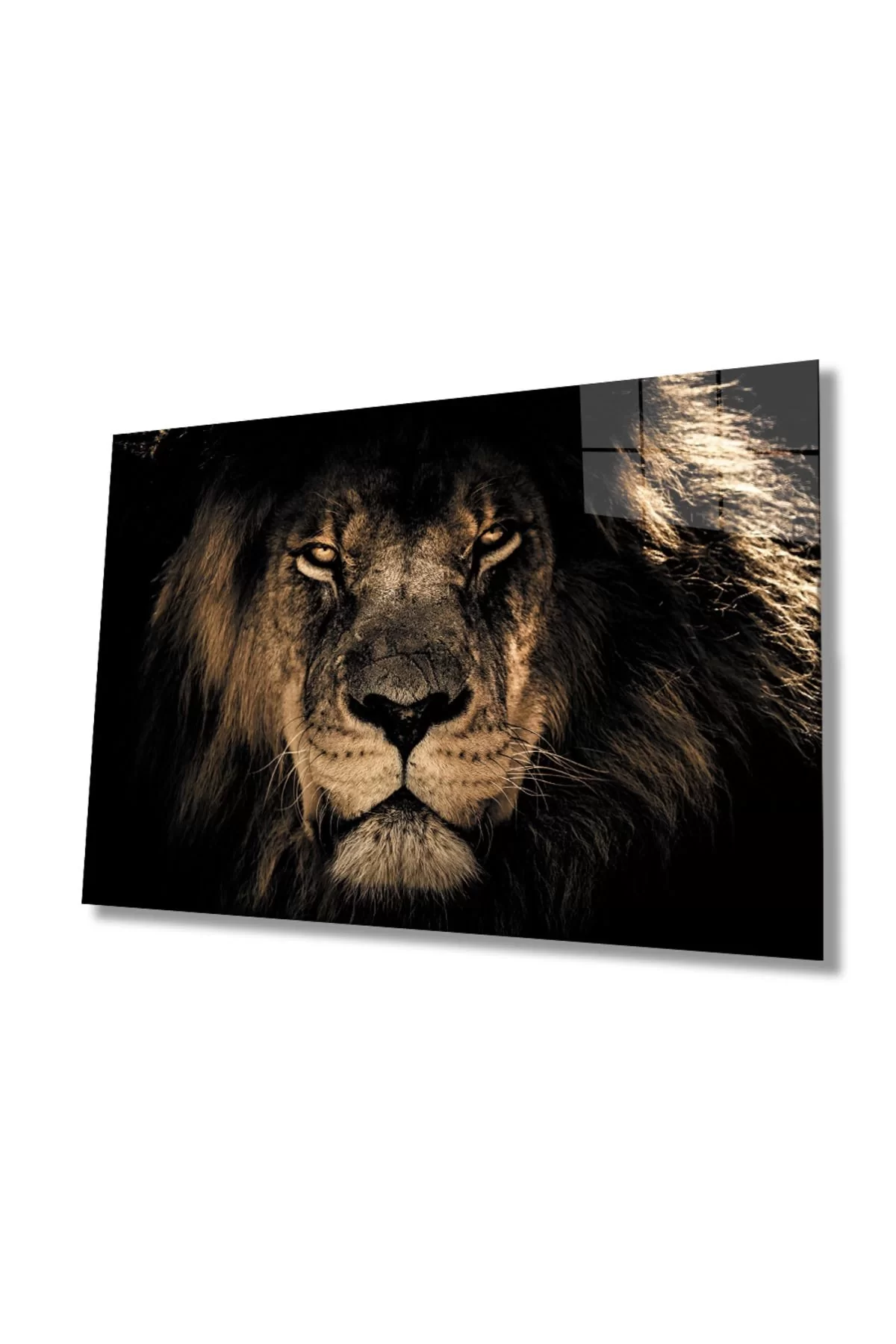 Lion Animal Glass Painting 4mm Durable Tempered Glass