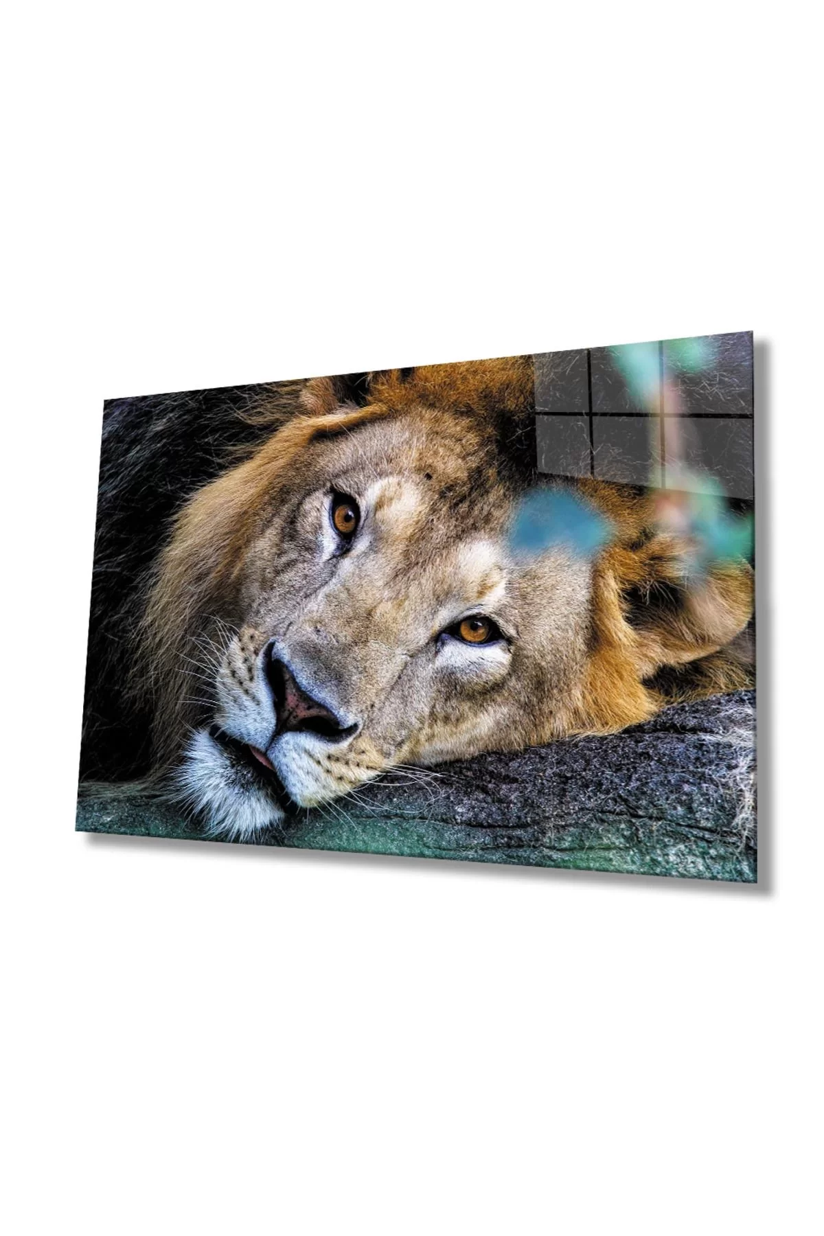 Lion Animal Glass Painting 4mm Durable Tempered Glass