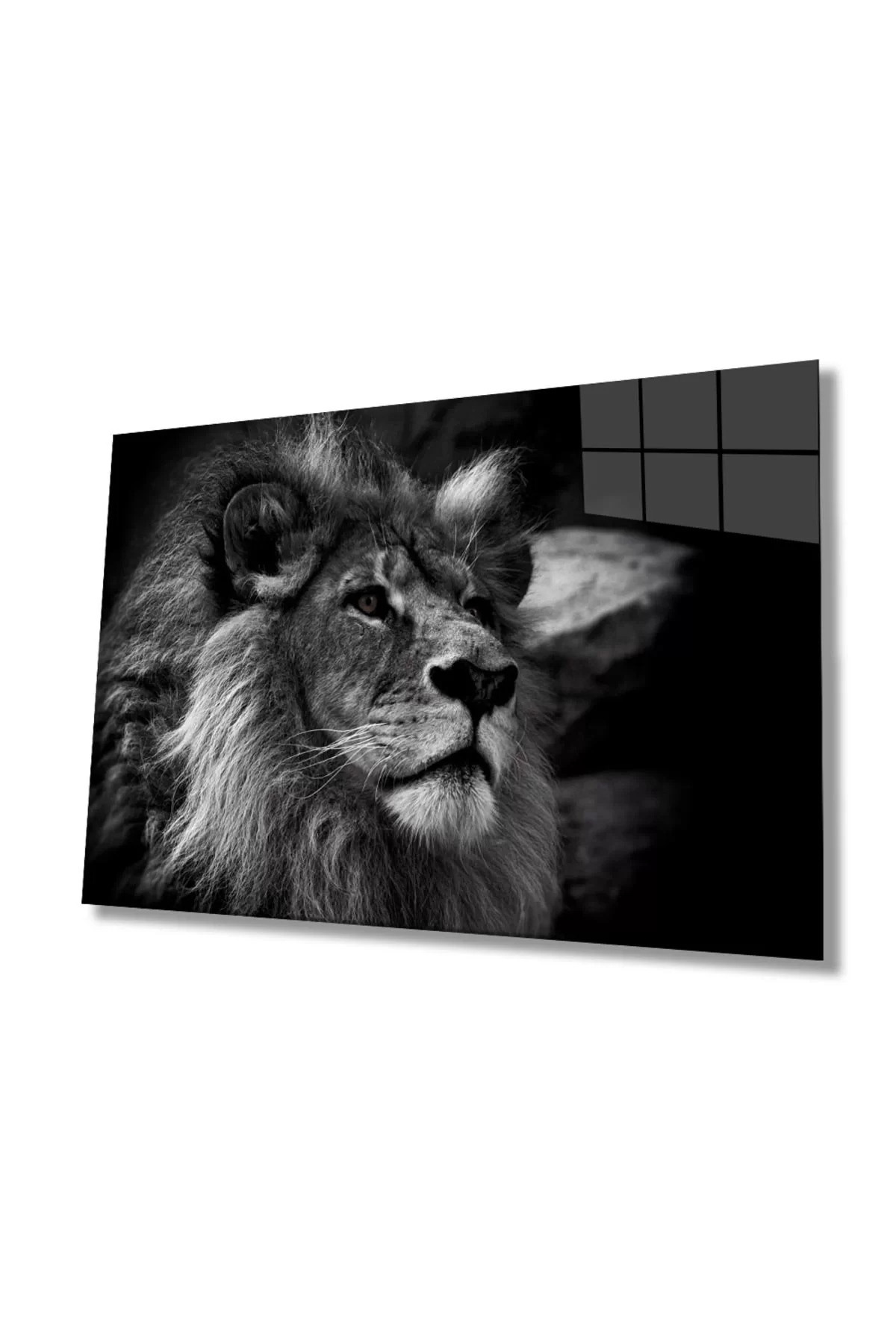 Lion Animal Glass Painting 4mm Durable Tempered Glass