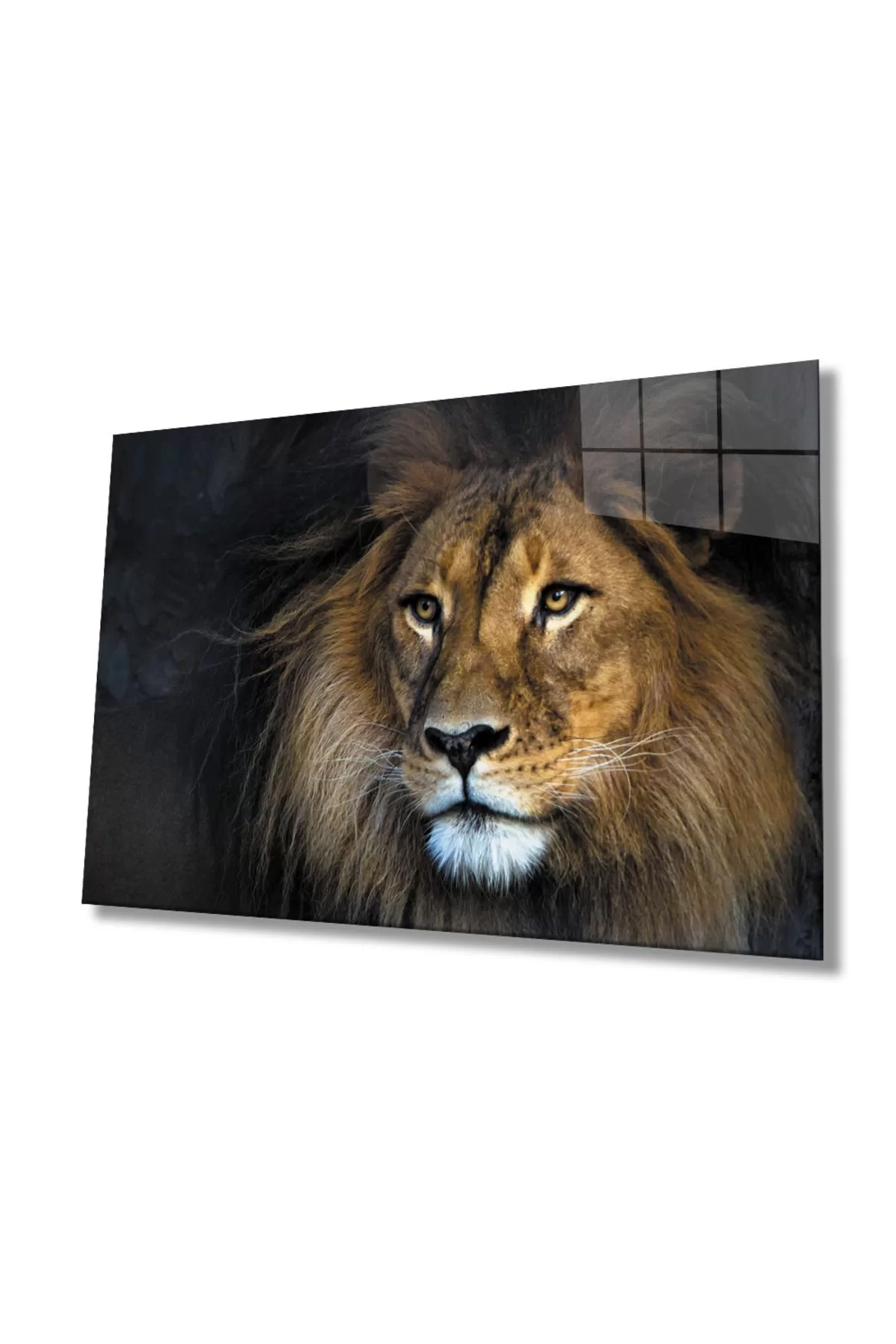 Lion Animal Glass Painting 4mm Durable Tempered Glass