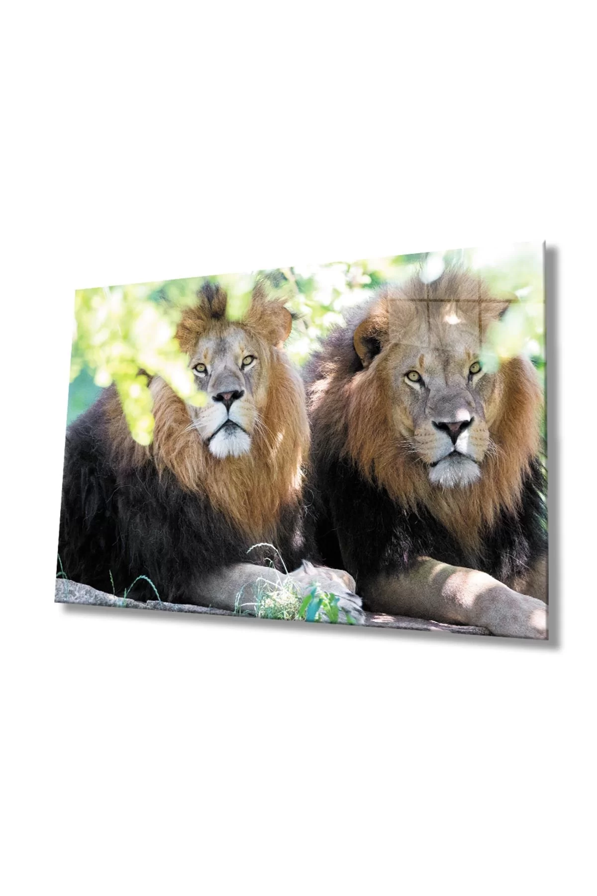 Lion Animal Glass Painting 4mm Durable Tempered Glass