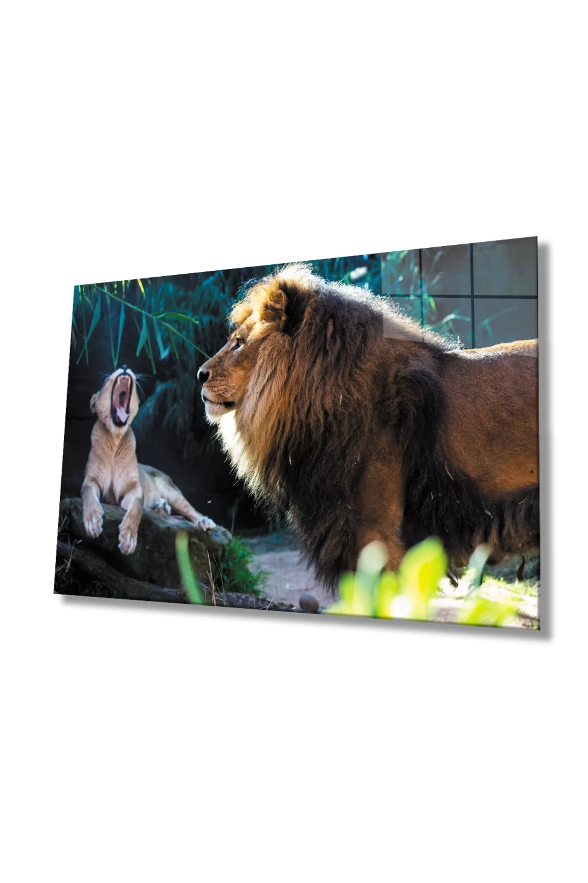 Lion Animal Glass Painting 4mm Durable Tempered Glass