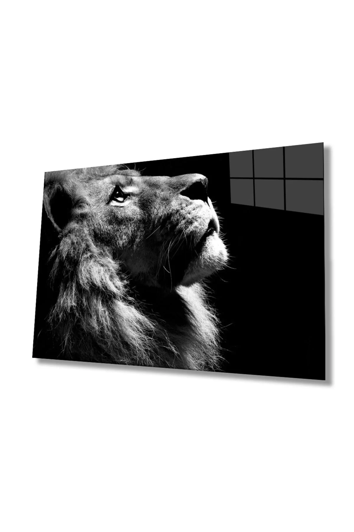 Lion Animal Glass Painting 4mm Durable Tempered Glass