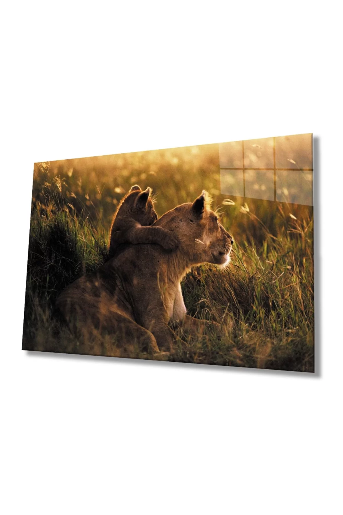 Lion Animal Glass Painting 4mm Durable Tempered Glass