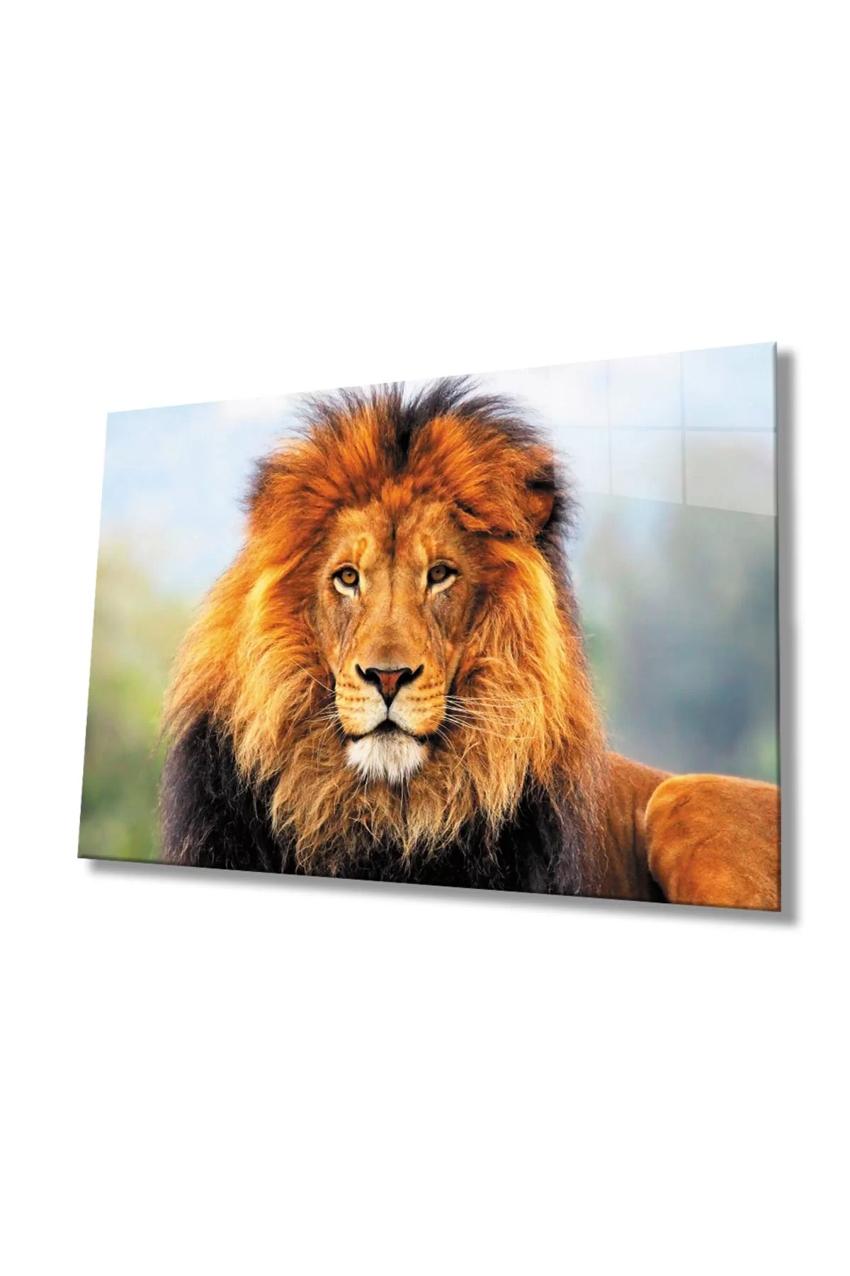 Lion Animal Glass Painting 4mm Durable Tempered Glass