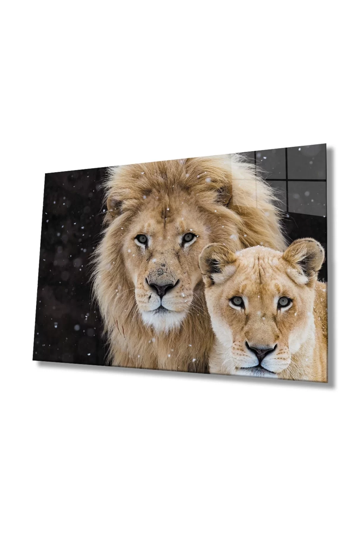 Lion Animal Glass Painting 4mm Durable Tempered Glass