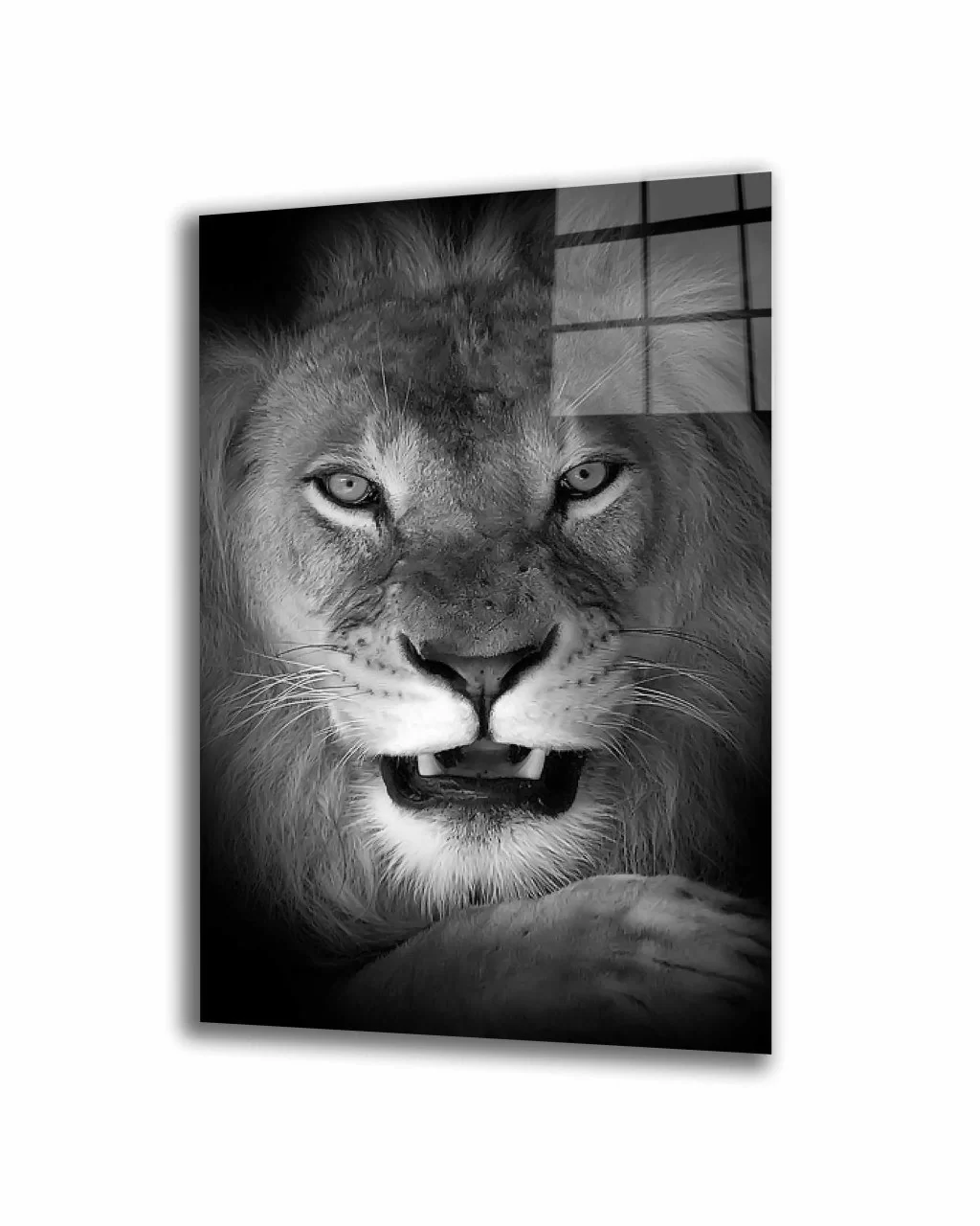 Lion Animal Black and White Glass Painting