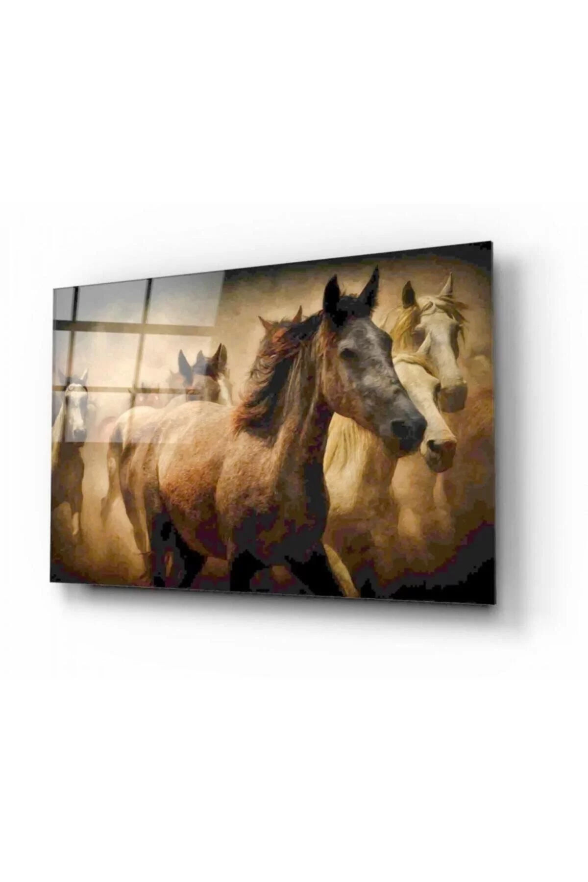 Horses Glass Painting