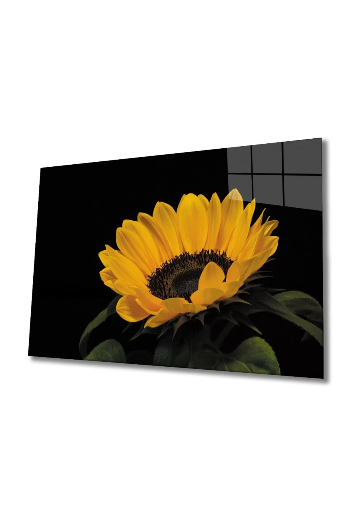 Sunflower 1 Glass Painting