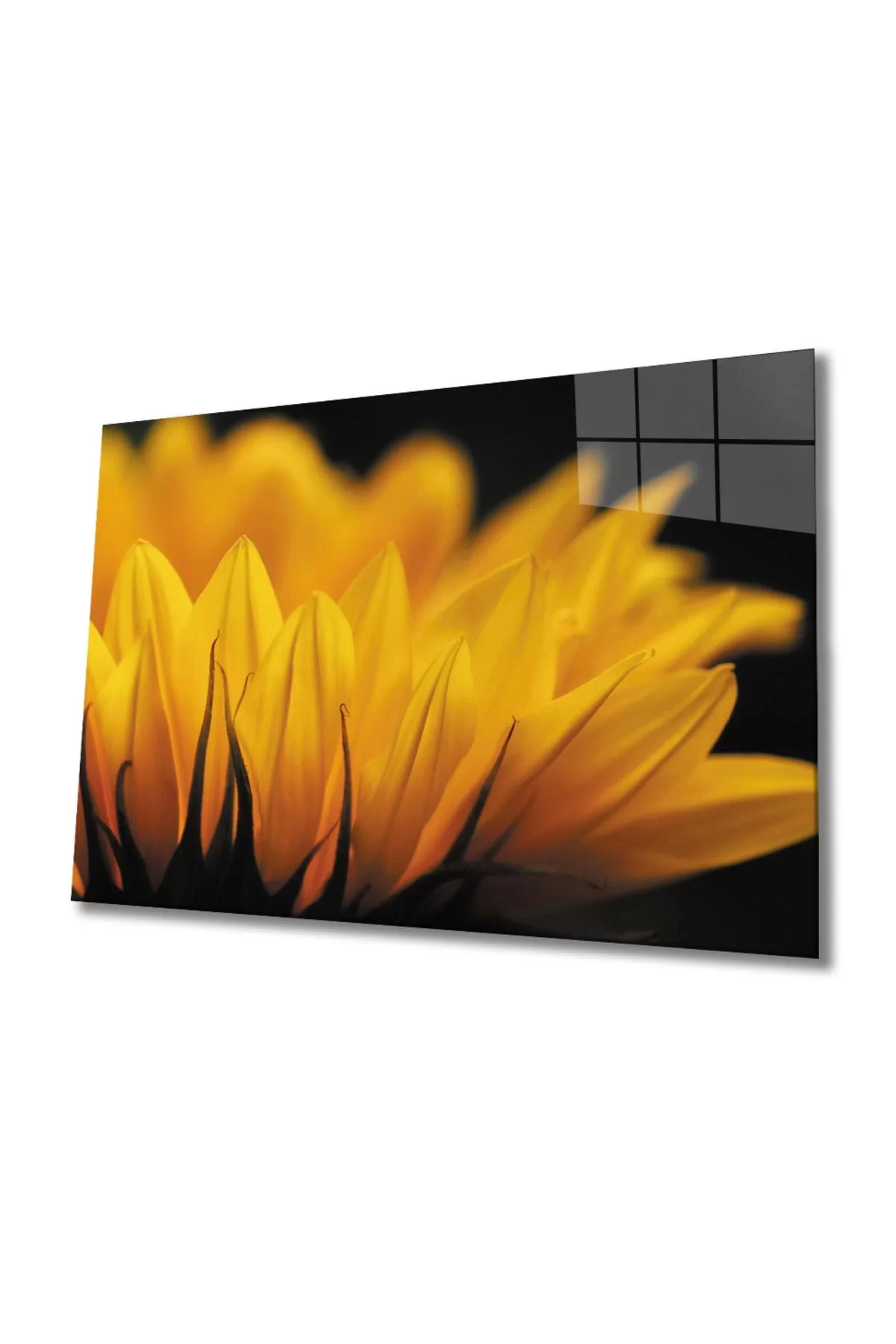 Sunflower 2 Glass Painting