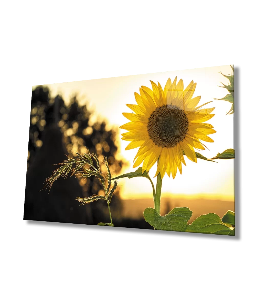 Sunflower Glass Table