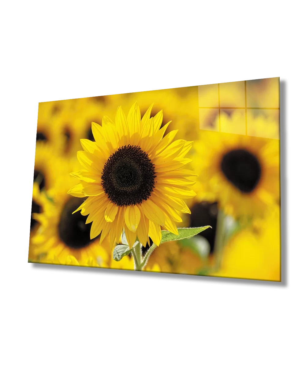 Sunflower Glass Table