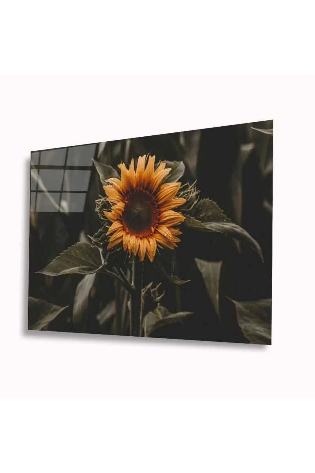 Sunflower Glass Table 4mm Durable Tempered Glass