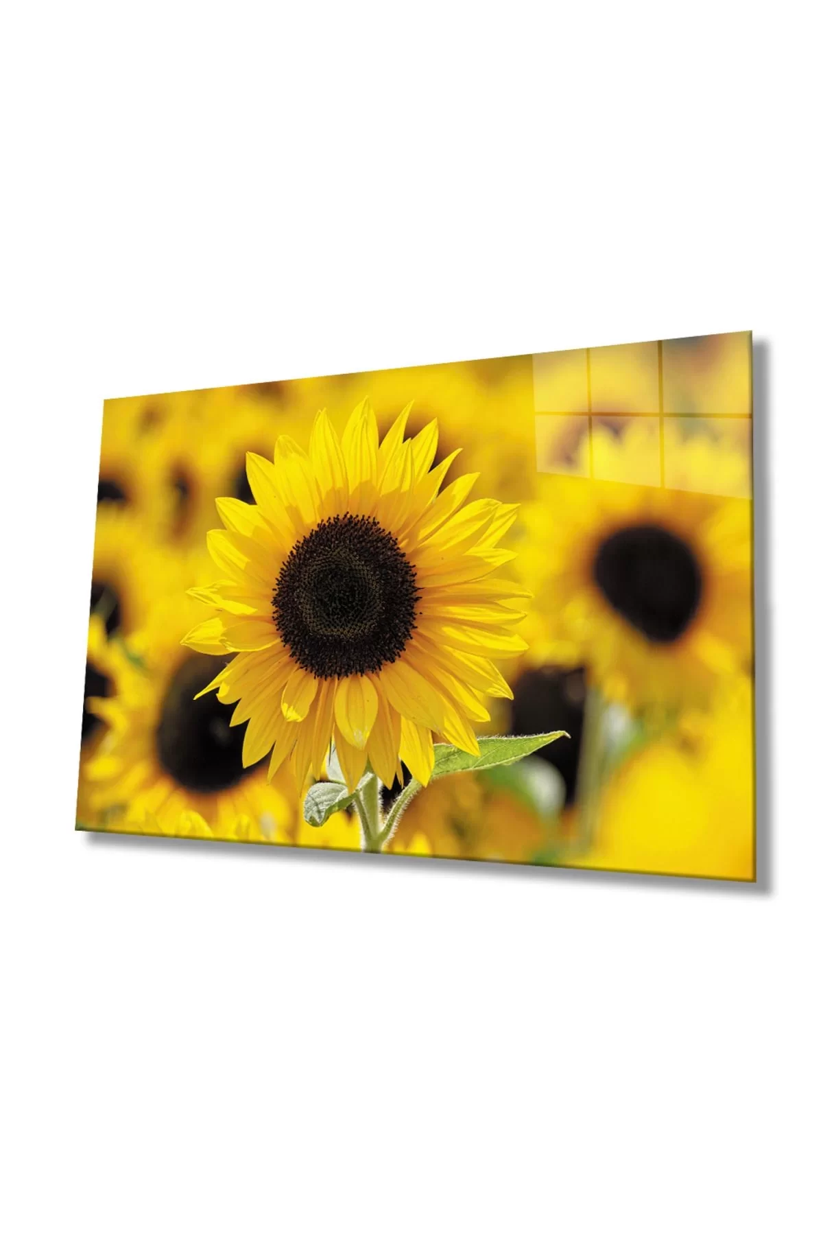 Sunflower Glass Painting, Home And Office Wall Decoration