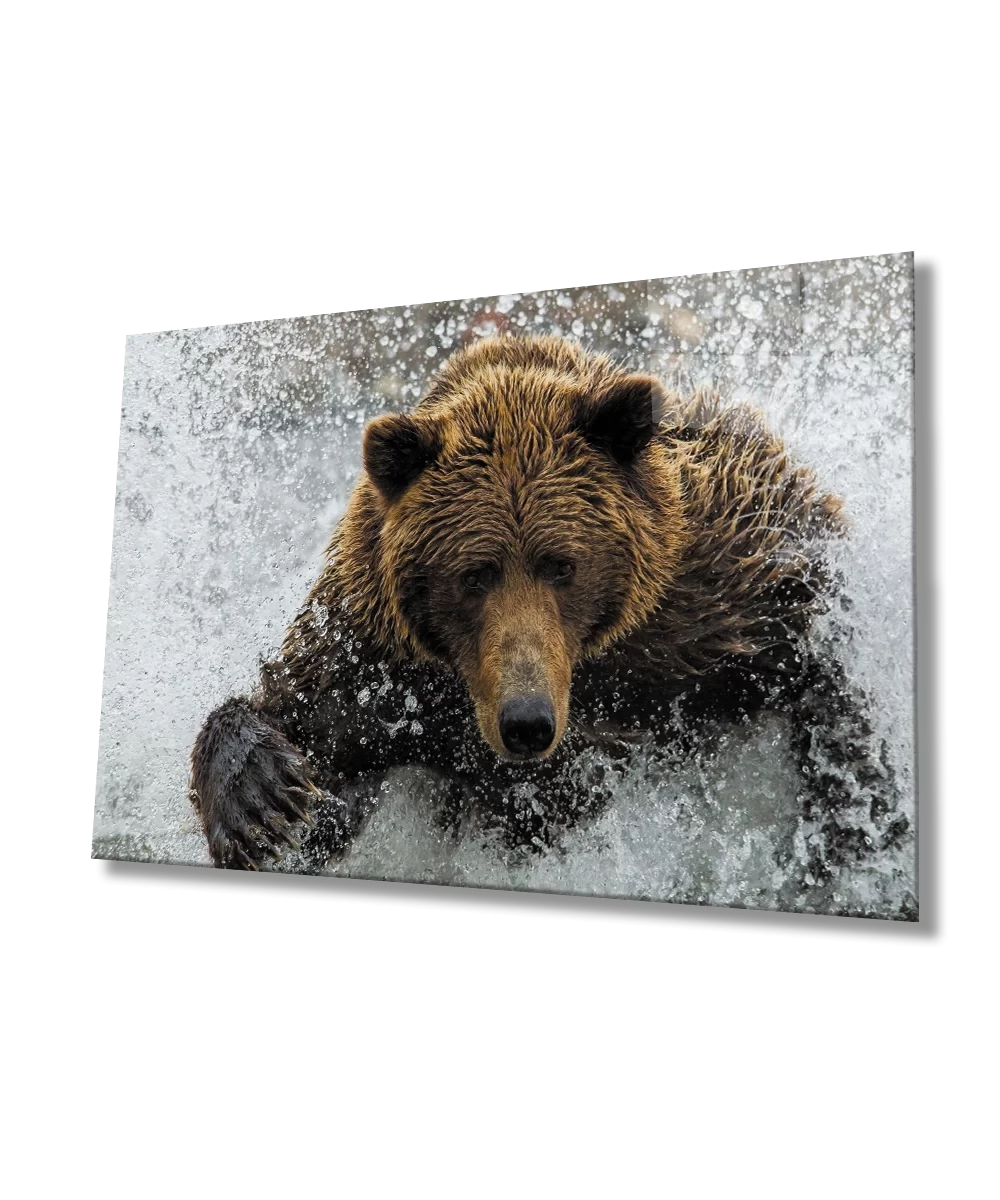 Bear Glass Painting