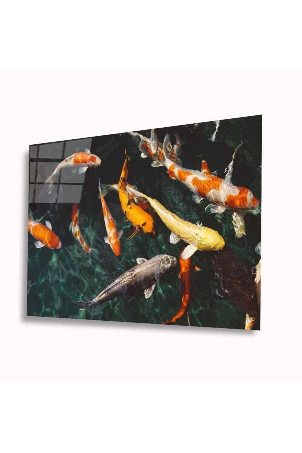 Fishes Glass Table 4mm Durable Tempered Glass