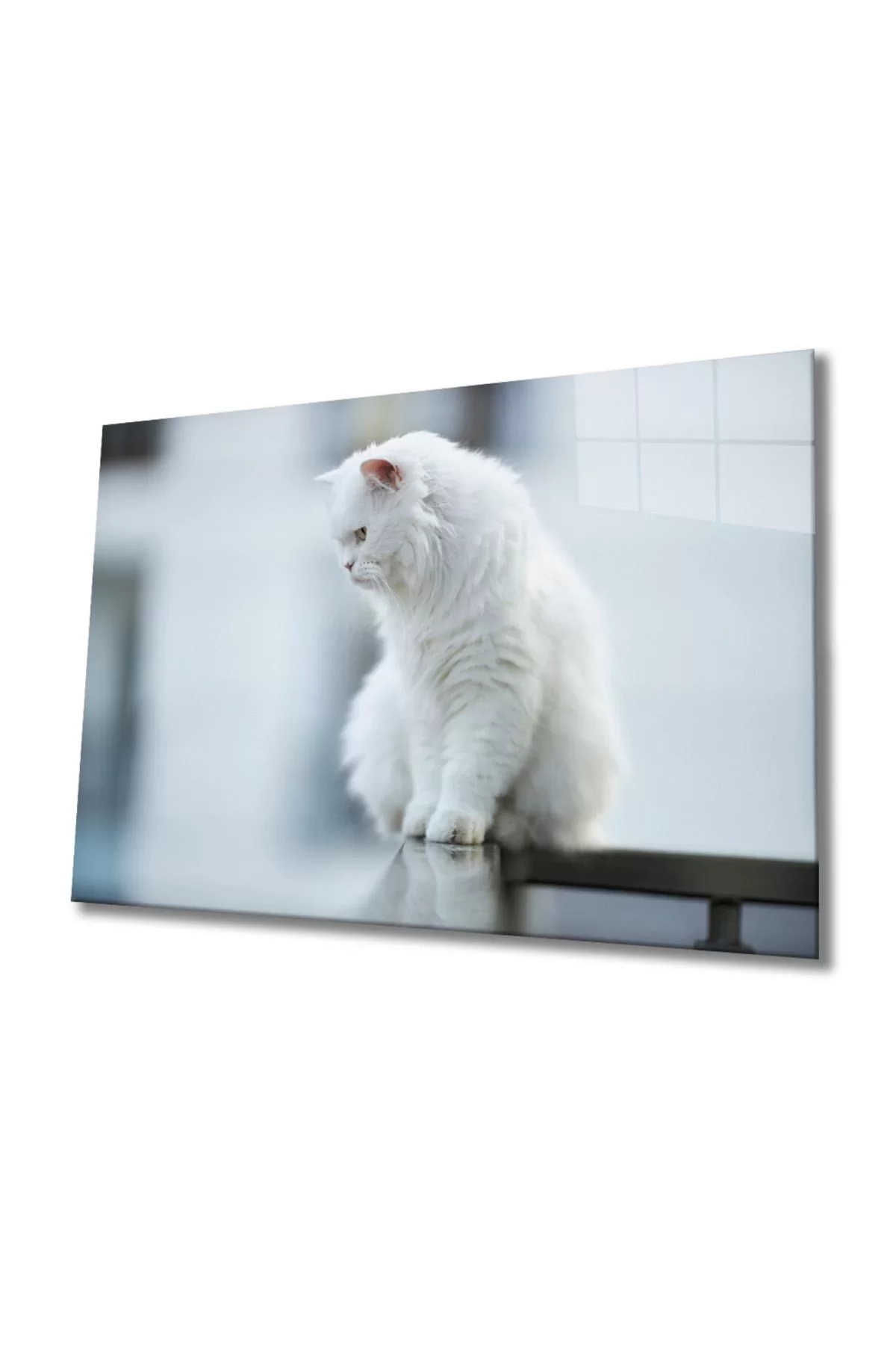 White Cat Glass Painting