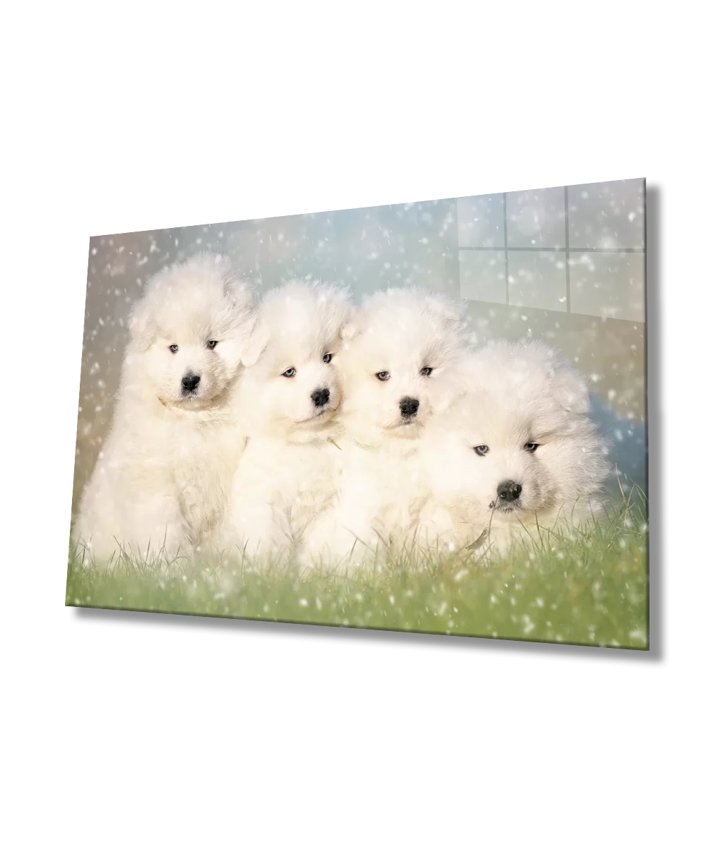 White Dogs Glass Painting